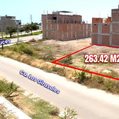 VENTA DE TERRENO DE 263.42 M2 EN URB. LOS NOGALES